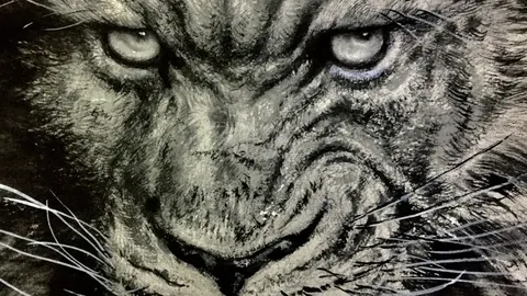 欧洲篮球联赛近5战3胜解析：专家推荐期号质合分析